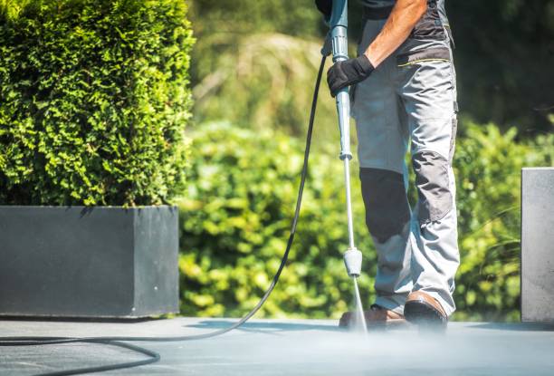 Best Pool Deck Cleaning  in Nekoosa, WI