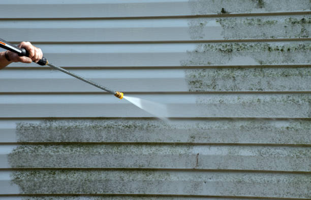 Best Roof Washing  in Nekoosa, WI